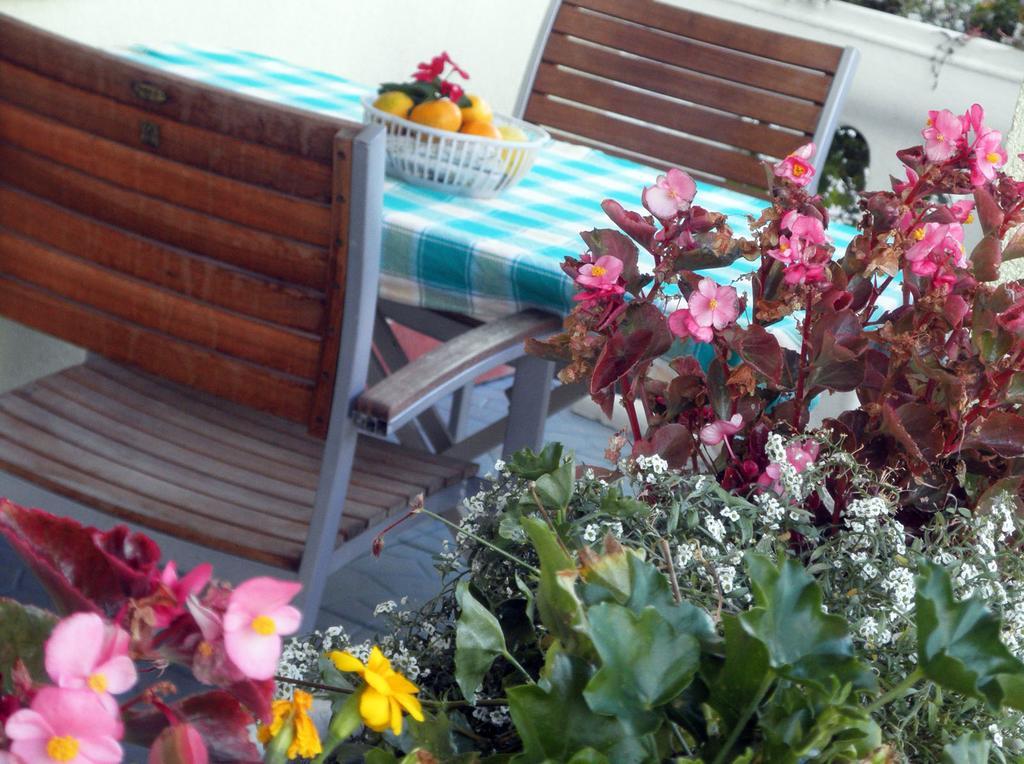 Apartmani Delfin Grebastica Luaran gambar